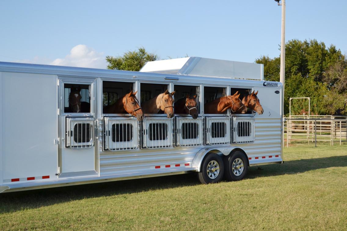 Tips for traveling with your horse