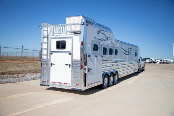 White 4 Horse Norstar LQ with Vegas Graphic with Full Rear Tack