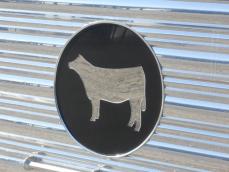 Inlaid Heifer / Steer